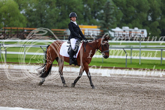2025 - Dressage Festival - Sunday July 6th - 05564