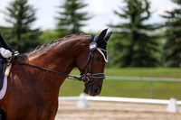 2025 - Dressage Festival - Saturday July 5th - 08463