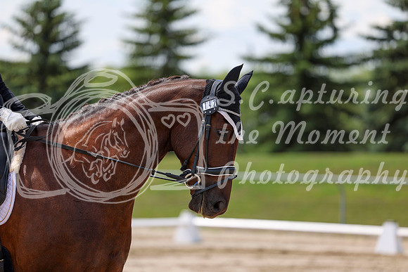 2025 - Dressage Festival - Saturday July 5th - 08463