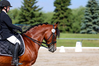 2025 - Dressage Festival - Saturday July 5th - 01866