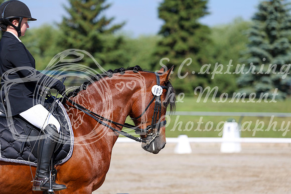 2025 - Dressage Festival - Saturday July 5th - 01866