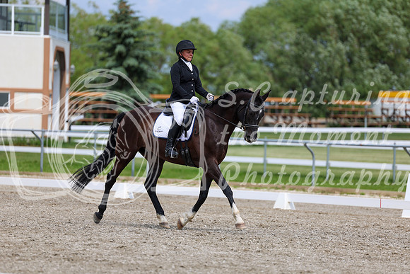 2025 - Dressage Festival - Saturday July 5th - 11403