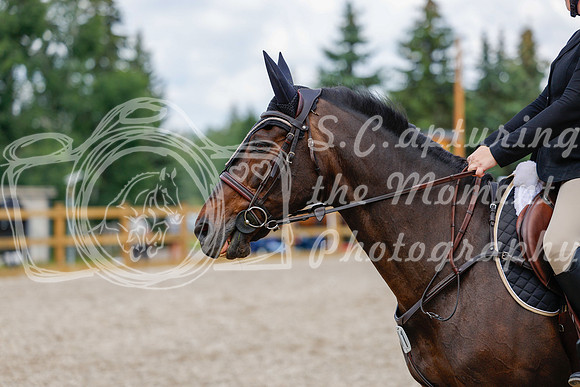 2025 - Haylee - Picco Horse Show - Saturday July 26th 06537