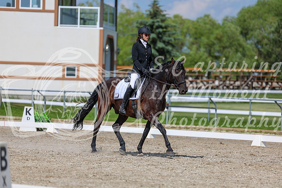 2025 - Dressage Festival - Saturday July 5th - 15217