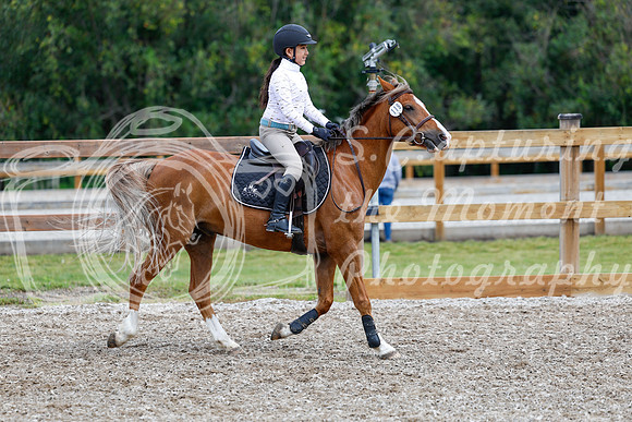 2025 - Haylee - Picco Horse Show - Friay July 25th 01651