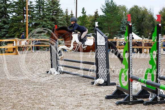 2025 - Haylee - Picco Horse Show - Saturday July 26th 01839