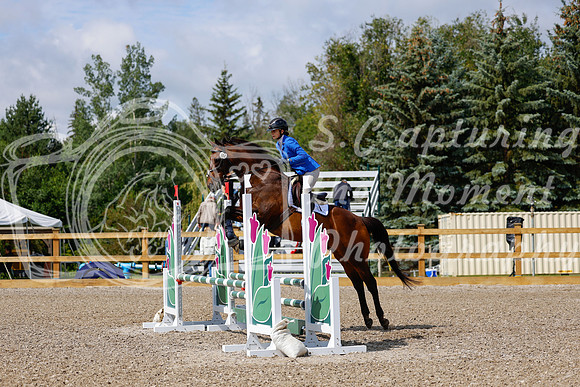 2025 - Haylee - Picco Horse Show - Sunday July 27th 02438