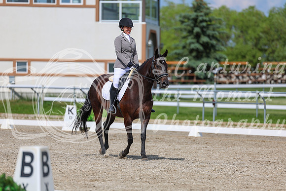 2025 - Dressage Festival - Saturday July 5th - 14607