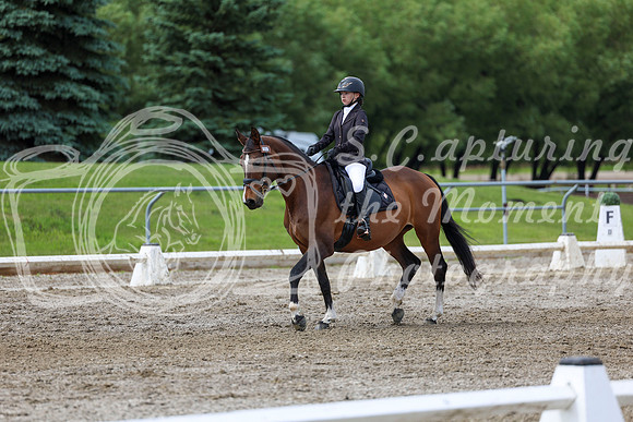2025 - Dressage Festival - Sunday July 6th - 14406