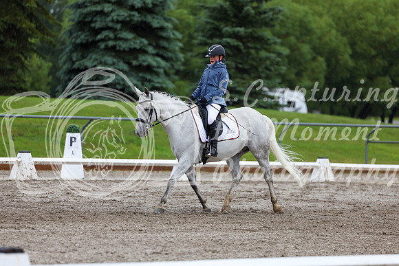2025 - Dressage Festival - Sunday July 6th - 04828