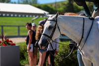2025 - Shea - Mid Summer Classic I - Saturday July 12th - 20084