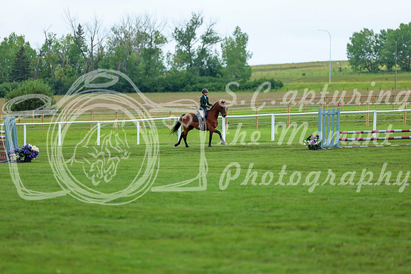 2025 - Shea - Teesdale - Saturday July 26th - 01201