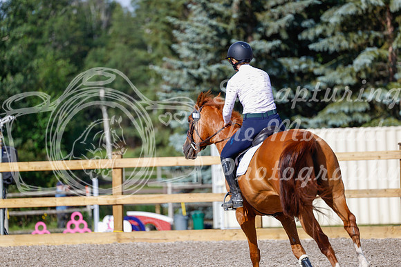 2025 - Haylee - Picco Horse Show - Thursday July 24th 00984