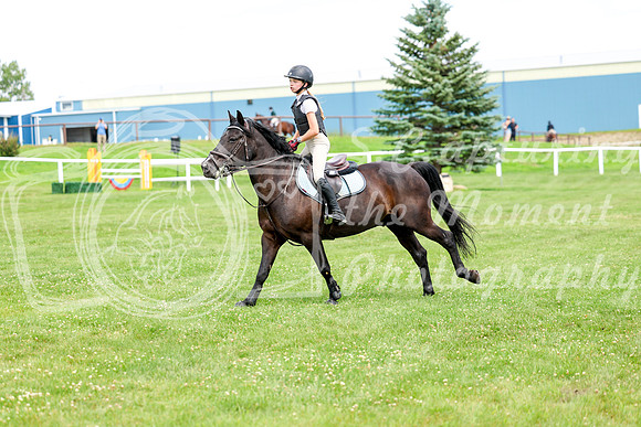 2025 - Shea - Teesdale - Thursday July 24th - 03838