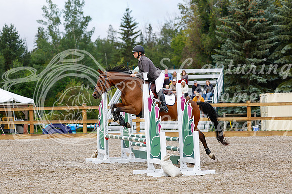 2025 - Haylee - Picco Horse Show - Sunday July 27th 01833