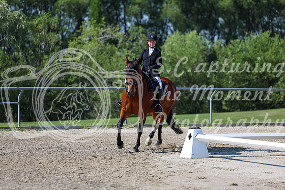 2025 - Dressage Festival - Saturday July 5th - 01856