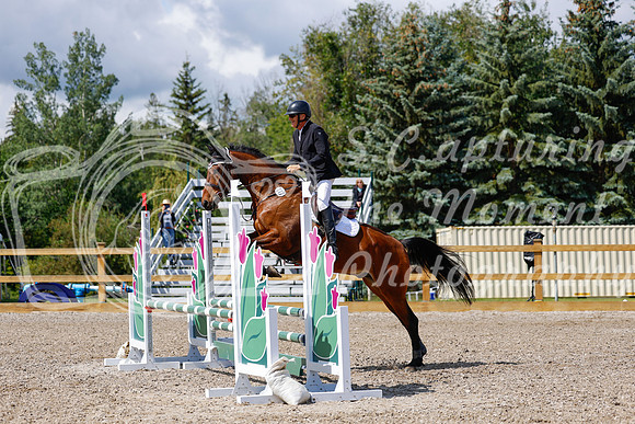 2025 - Haylee - Picco Horse Show - Sunday July 27th 02997