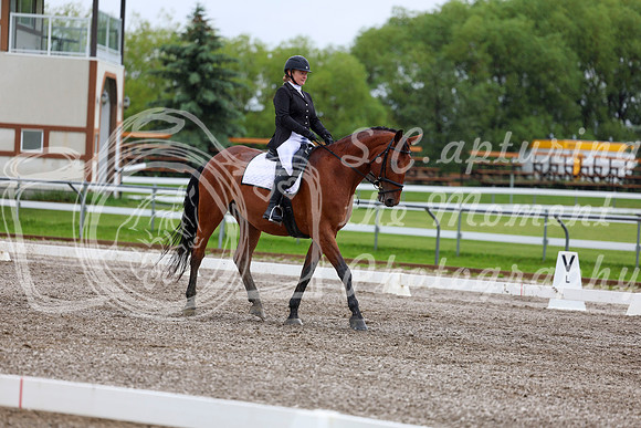 2025 - Dressage Festival - Sunday July 6th - 05002