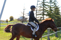 Pony Hunter