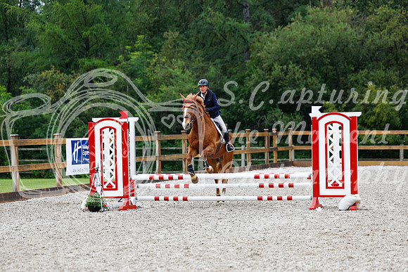 2025 - Haylee - Picco Horse Show - Sunday July 27th 01382