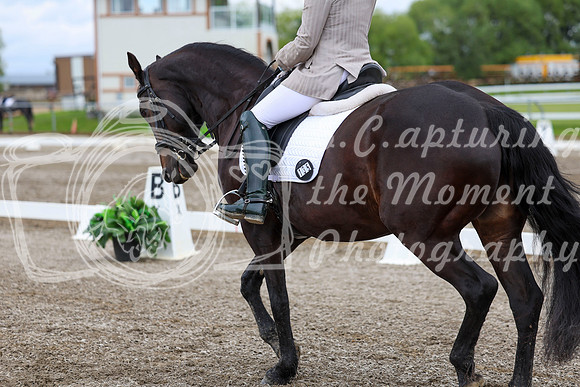 2025 - Dressage Festival - Sunday July 6th - 10386