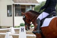 2025 - Dressage Festival - Sunday July 6th - 13157