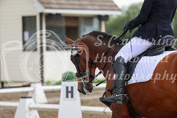 2025 - Dressage Festival - Sunday July 6th - 13157