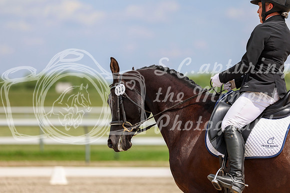 2025 - Dressage Festival - Saturday July 5th - 11470