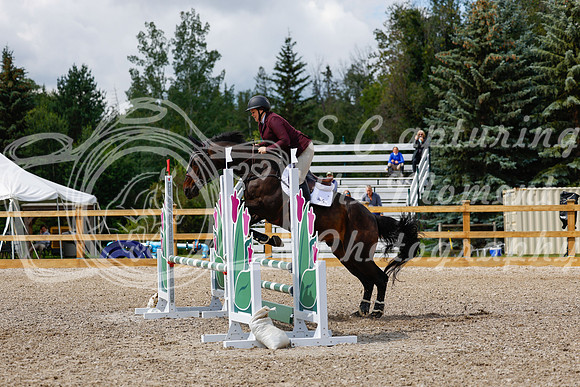 2025 - Haylee - Picco Horse Show - Sunday July 27th 03254