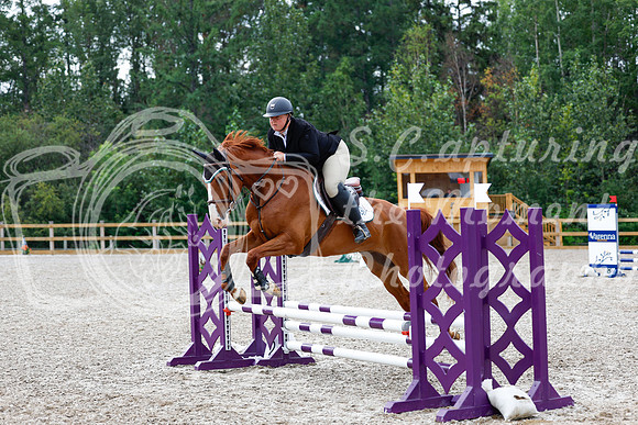 2025 - Haylee - Picco Horse Show - Saturday July 26th 02641