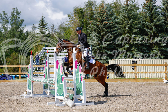 2025 - Haylee - Picco Horse Show - Sunday July 27th 02995