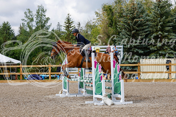 2025 - Haylee - Picco Horse Show - Sunday July 27th 02680