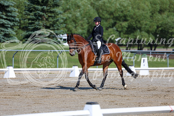 2025 - Dressage Festival - Saturday July 5th - 01870