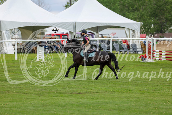 2025 - Shea - Teesdale - Friday July 25th - 06003