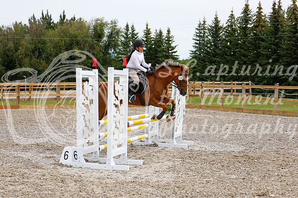 2025 - Haylee - Picco Horse Show - Friay July 25th 01664
