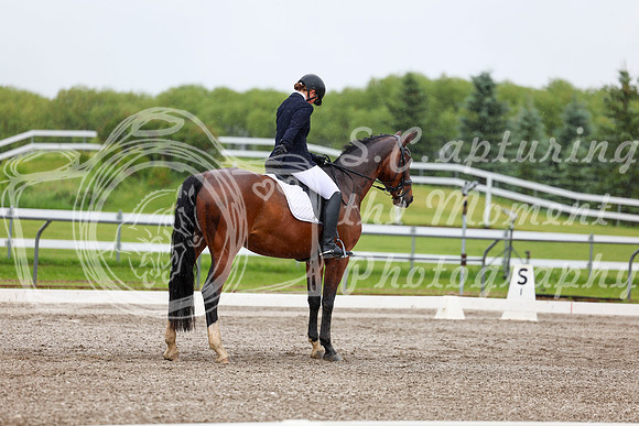 2025 - Dressage Festival - Sunday July 6th - 04268