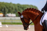 2025 - Dressage Festival - Saturday July 5th - 06294