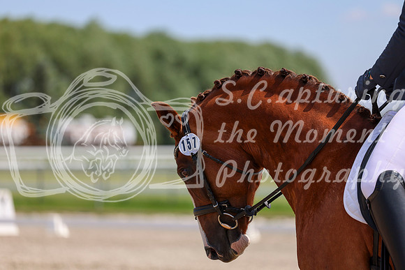 2025 - Dressage Festival - Saturday July 5th - 06294