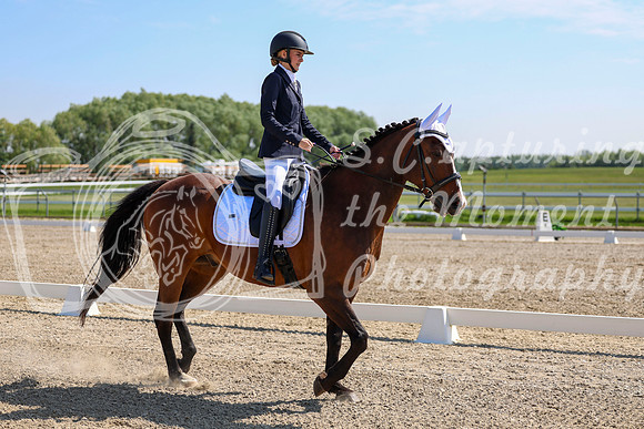 2025 - Dressage Festival - Saturday July 5th - 03912