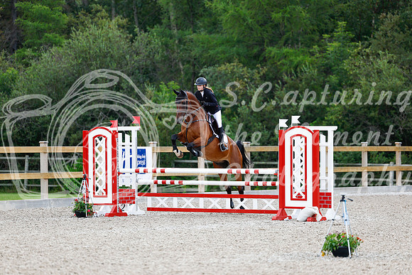 2025 - Haylee - Picco Horse Show - Sunday July 27th 04537
