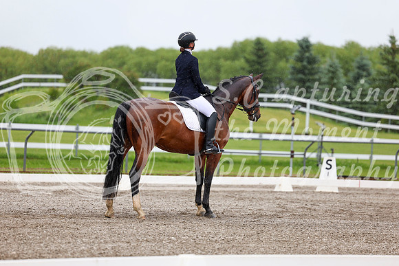 2025 - Dressage Festival - Sunday July 6th - 04273