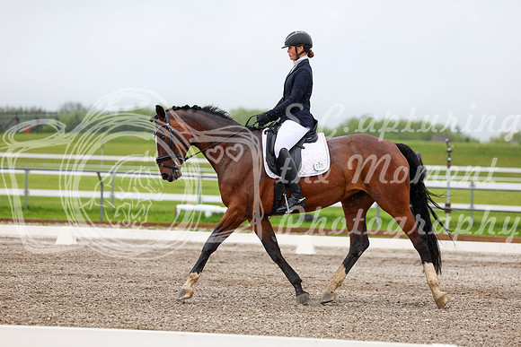 2025 - Dressage Festival - Sunday July 6th - 04281