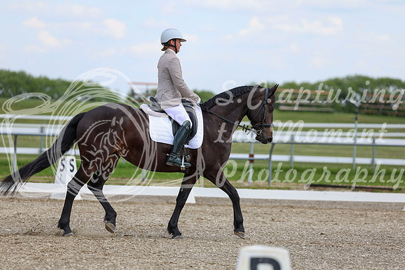 2025 - Dressage Festival - Saturday July 5th - 10683