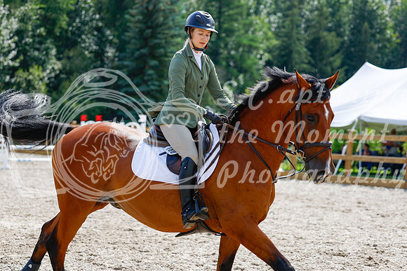 2025 - Haylee - Picco Horse Show - Saturday July 26th 07753