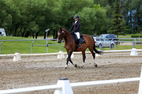 2025 - Dressage Festival - Sunday July 6th - 14399