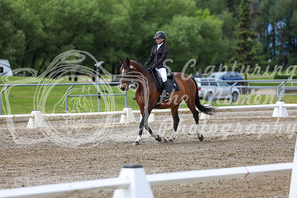 2025 - Dressage Festival - Sunday July 6th - 14399