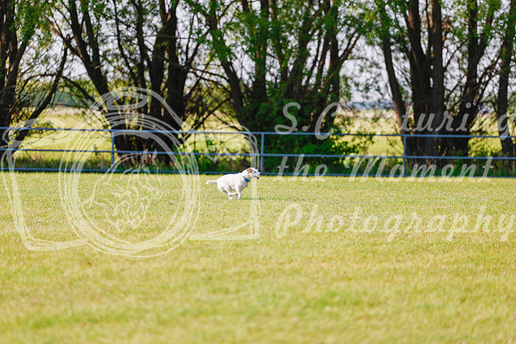 2025 - Haylee - Edmonton Classic - Friday, May 23rd - 00181