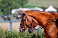 2025 - Haylee - Rocky Mountain Classic III - Saturday August 23rd - 06384