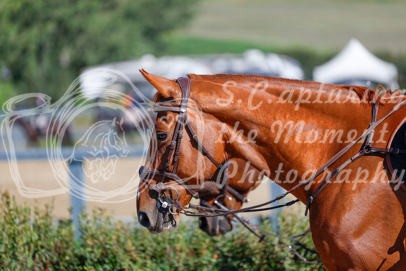 2025 - Haylee - Rocky Mountain Classic III - Saturday August 23rd - 06384