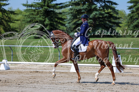 2025 - Dressage Festival - Saturday July 5th - 04263
